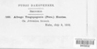 Image Associated With the Occurence